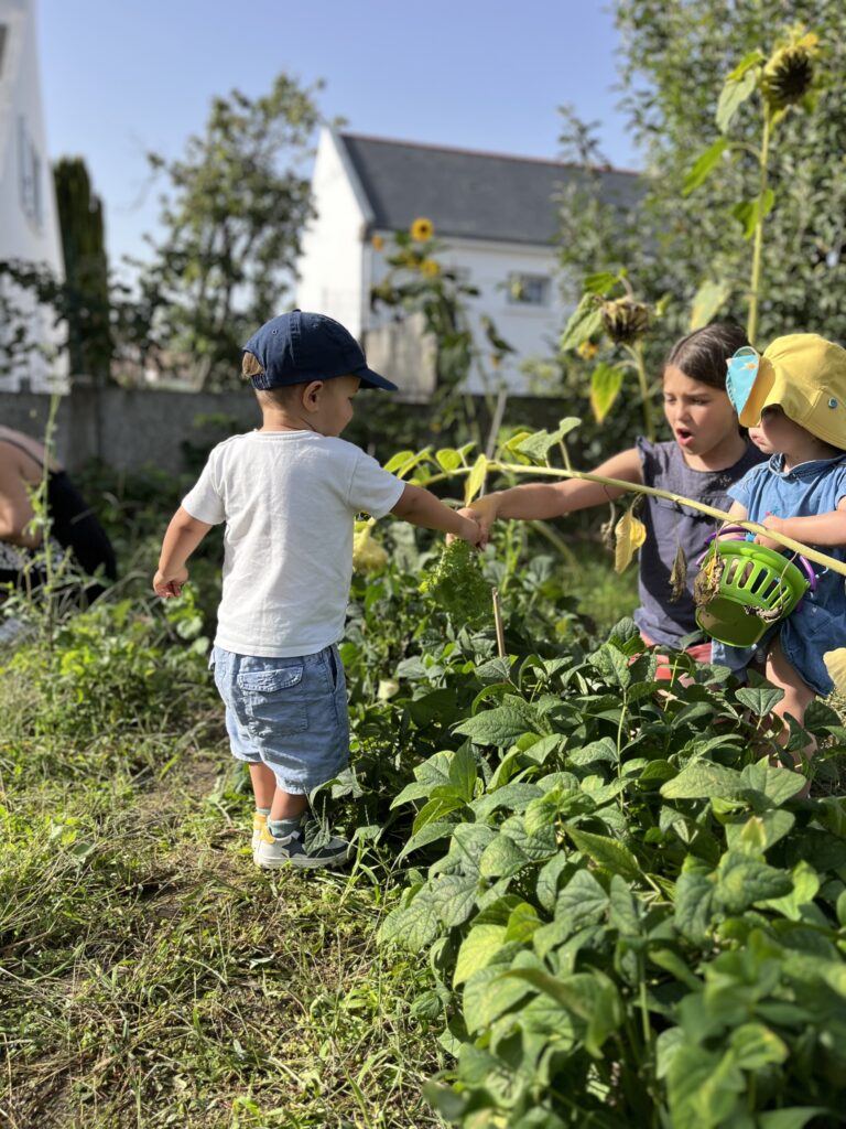 micro-crèche à Vertou : activité en extérieur, potager