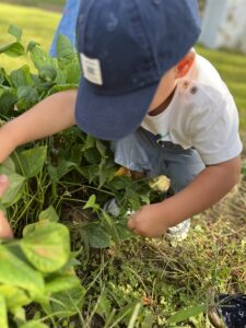 prev micro-crèche à Vertou : activité en extérieur, potager